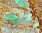 Polished Variscite Slab - Goscoyne, Australia #95867-1